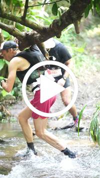 BIB:  <button type="button" onclick="openModal(27824226)" class="btn btn-primary btn-sm float-right" data-toggle="modal" data-target=".modal-high-quality">
                <i class="fa fa-download"></i> Download
                </button>